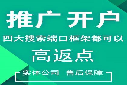 百度推广平台：提升转化率的广告策略案例